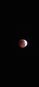 Enlarge photo 799