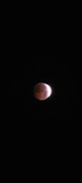 Enlarge photo 803