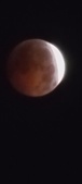 Enlarge photo 805