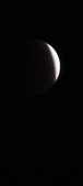 Enlarge photo 806