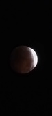 Enlarge photo 817