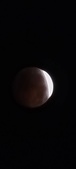 Enlarge photo 819