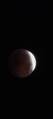 Enlarge photo 820