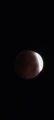 Enlarge photo 821
