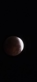 Enlarge photo 824
