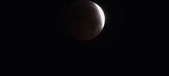 Enlarge photo 827