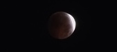 Enlarge photo 829