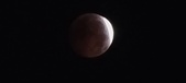 Enlarge photo 830