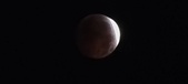 Enlarge photo 831