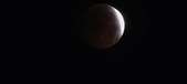 Enlarge photo 832