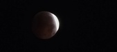 Enlarge photo 840