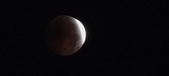 Enlarge photo 841