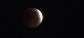 Enlarge photo 842