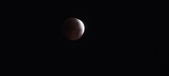 Enlarge photo 845