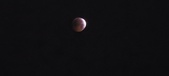 Enlarge photo 846