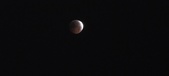 Enlarge photo 847