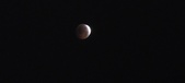 Enlarge photo 848