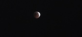 Enlarge photo 849