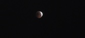 Enlarge photo 850
