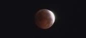 Enlarge photo 855