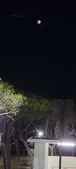 Enlarge photo 859