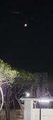 Enlarge photo 861