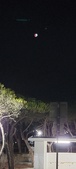 Enlarge photo 862