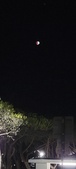 Enlarge photo 865