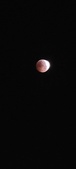 Enlarge photo 866