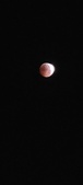 Enlarge photo 867