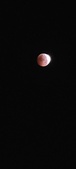 Enlarge photo 868