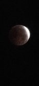 Enlarge photo 869