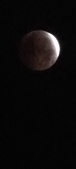 Enlarge photo 870