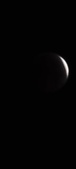 Enlarge photo 871