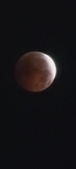 Enlarge photo 872