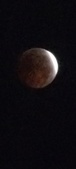 Enlarge photo 873