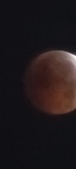 Enlarge photo 875