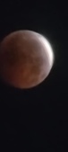 Enlarge photo 876