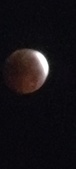 Enlarge photo 882