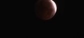 Enlarge photo 886