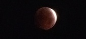 Enlarge photo 893