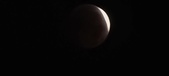 Enlarge photo 894