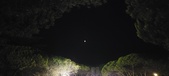 Enlarge photo 895