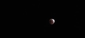 Enlarge photo 897