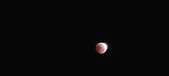 Enlarge photo 898