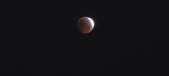 Enlarge photo 904