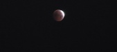 Enlarge photo 905