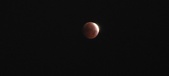 Enlarge photo 906