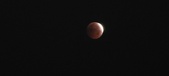 Enlarge photo 907