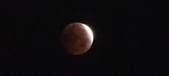 Enlarge photo 910